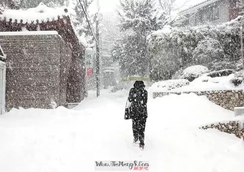 做梦梦见下大雪路面结冰 梦见下大雪结冰很滑插图