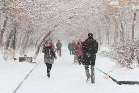 做梦梦到下很大的暴雪插图