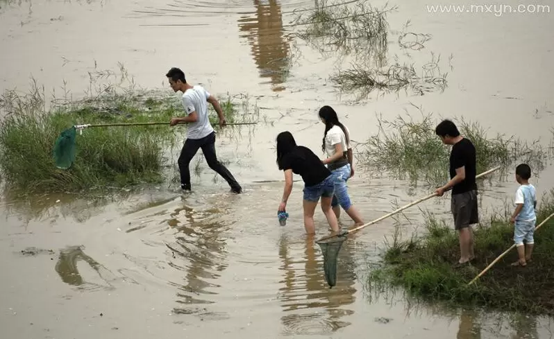 做梦梦见自己喊人抓鱼 梦见自己在河里抓鱼插图