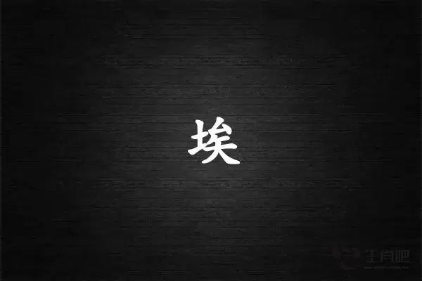 埃字打一生肖（埃字是什么生肖）插图