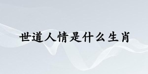 世道人情是什么生肖，精选成语解析落实