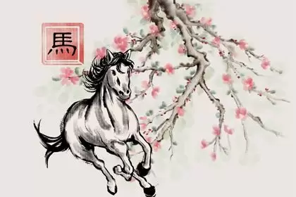 两人都属马结婚好吗 都属马结婚的后果插图