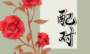 属猪和属猪的婚配好不好 结婚会幸福吗缩略图