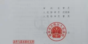 老人去世后被发现已娶小38岁保姆，房产过给保姆儿子！养女败诉！缩略图