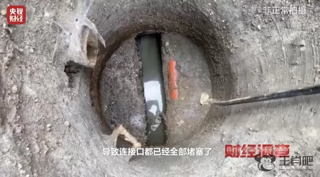 街巷屎尿横流！这里的污水治理工程如此荒唐插图6