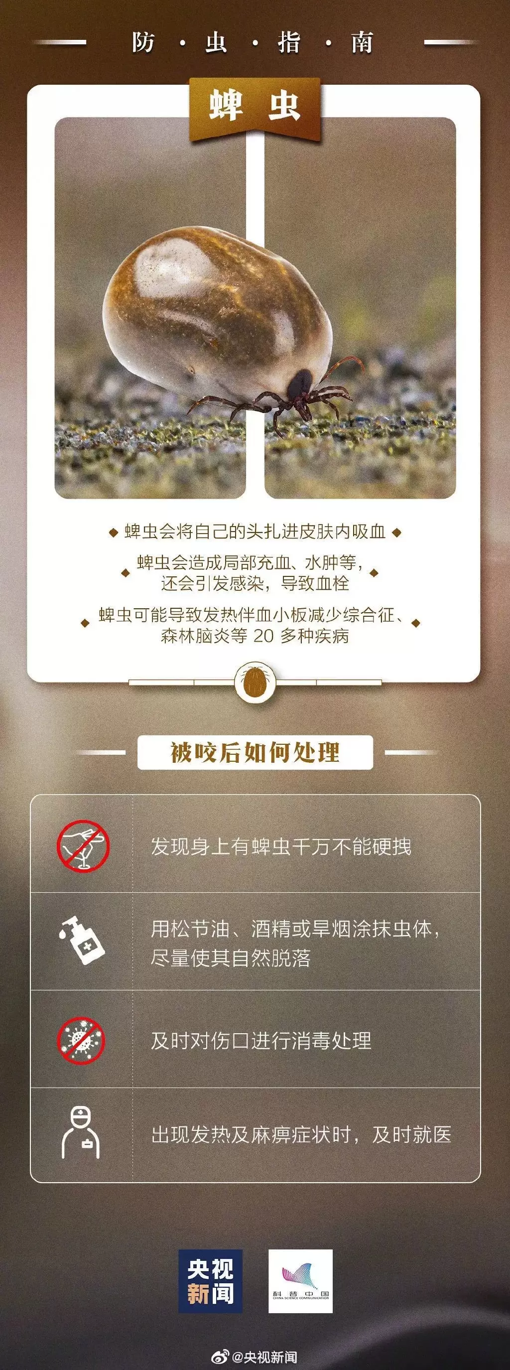 又是它！女子误将毒虫当蚊子拍死，险些毁容……插图4