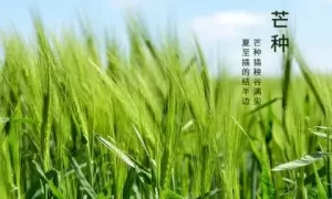 2018年白露节气出生男宝宝五行缺火起名推荐缩略图