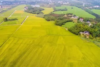 2018年秋分出生男孩五行属金名字推荐，五行缺金起名注意事项插图