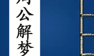 梦大奖解梦 梦册网查询排列五缩略图