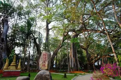 2018年中元节出生男孩五行缺金起名,中元节出生好吗？插图