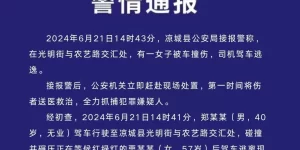 乌兰察布凉城警方通报“女子等红绿灯被撞，司机驾车逃逸”：伤者不幸身亡，犯罪嫌疑人已被抓获缩略图