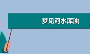 做梦梦见进入河里,梦见浑浊的河水缩略图