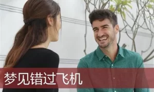 做梦找男友赶不上飞机 做梦飞机轰炸是什么意思缩略图