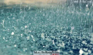 做梦下雨全身淋湿 做梦全身淋雨湿透了缩略图