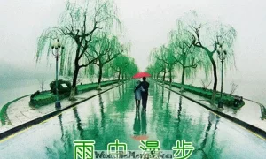 做梦自己在雨中走 做梦在风雨中跑缩略图