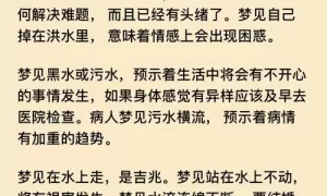 最全的解梦大全梦见水 周公解梦大全查询2345梦见水缩略图