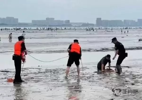 数百人下钱塘江滩涂捞黄蚬，杭州市林水局：危险、切勿下堤插图2