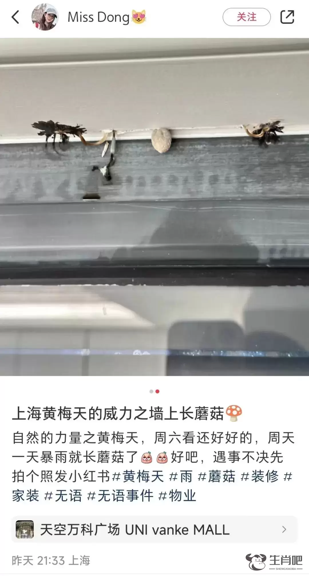 近期暴长！上海网友都在晒！发出灵魂二连问，紧急提醒插图2