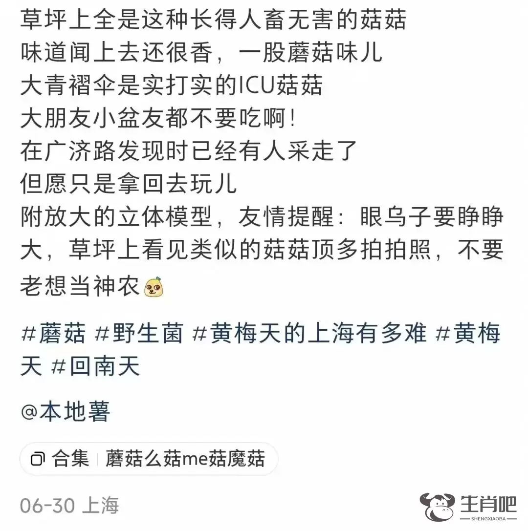 近期暴长！上海网友都在晒！发出灵魂二连问，紧急提醒插图4