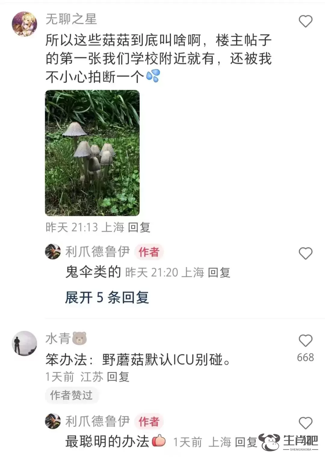 近期暴长！上海网友都在晒！发出灵魂二连问，紧急提醒插图5