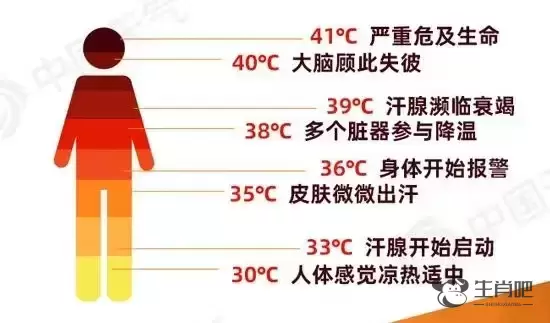 体温飙至42℃，ICU抢救一周！这种病致死率高达80%插图2