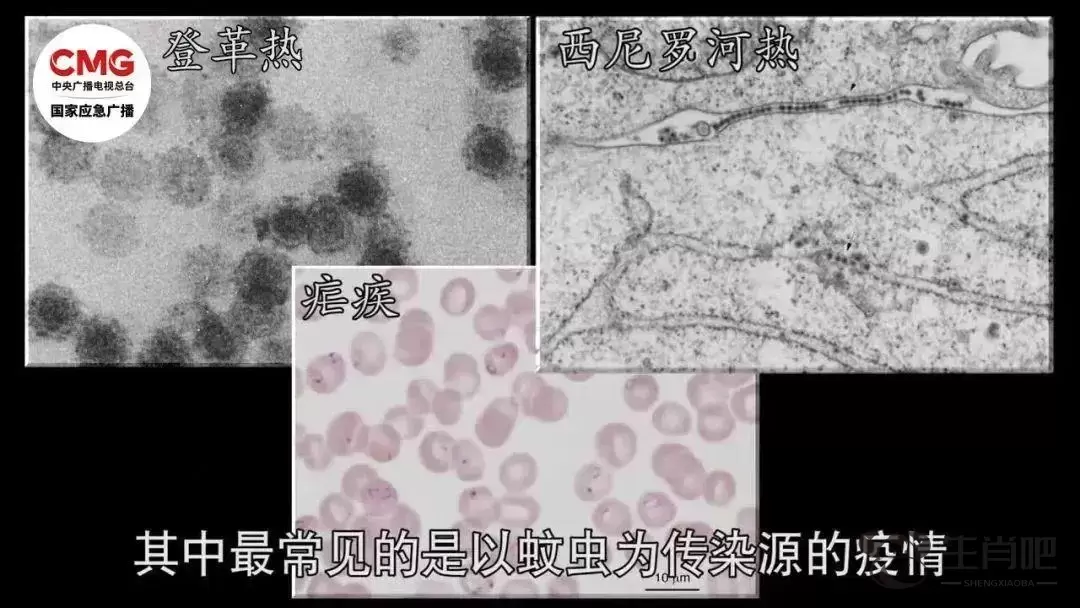 洪水泡过的食物还能吃吗？专家提醒洪水过后这4类传染病要预防插图4