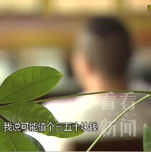 上海别墅绿化带惊现多只爱马仕！丢了12只，总价超百万插图5