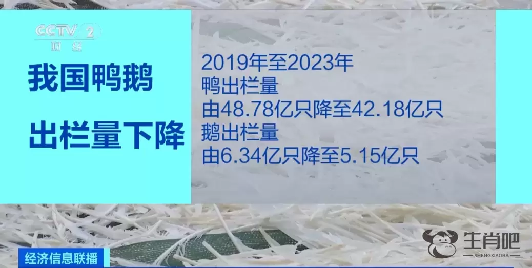 热销品类卖断货！这项2.5亿人参与的运动太火爆了插图10