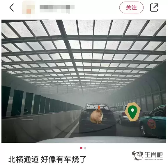 500多万法拉利自燃，烧得面目全非！插图