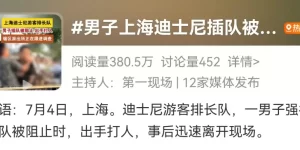 “男子插队不成动手伤人”“IP玩偶溢价20倍”……迪士尼接连上热搜，黄牛乱象何时休？缩略图