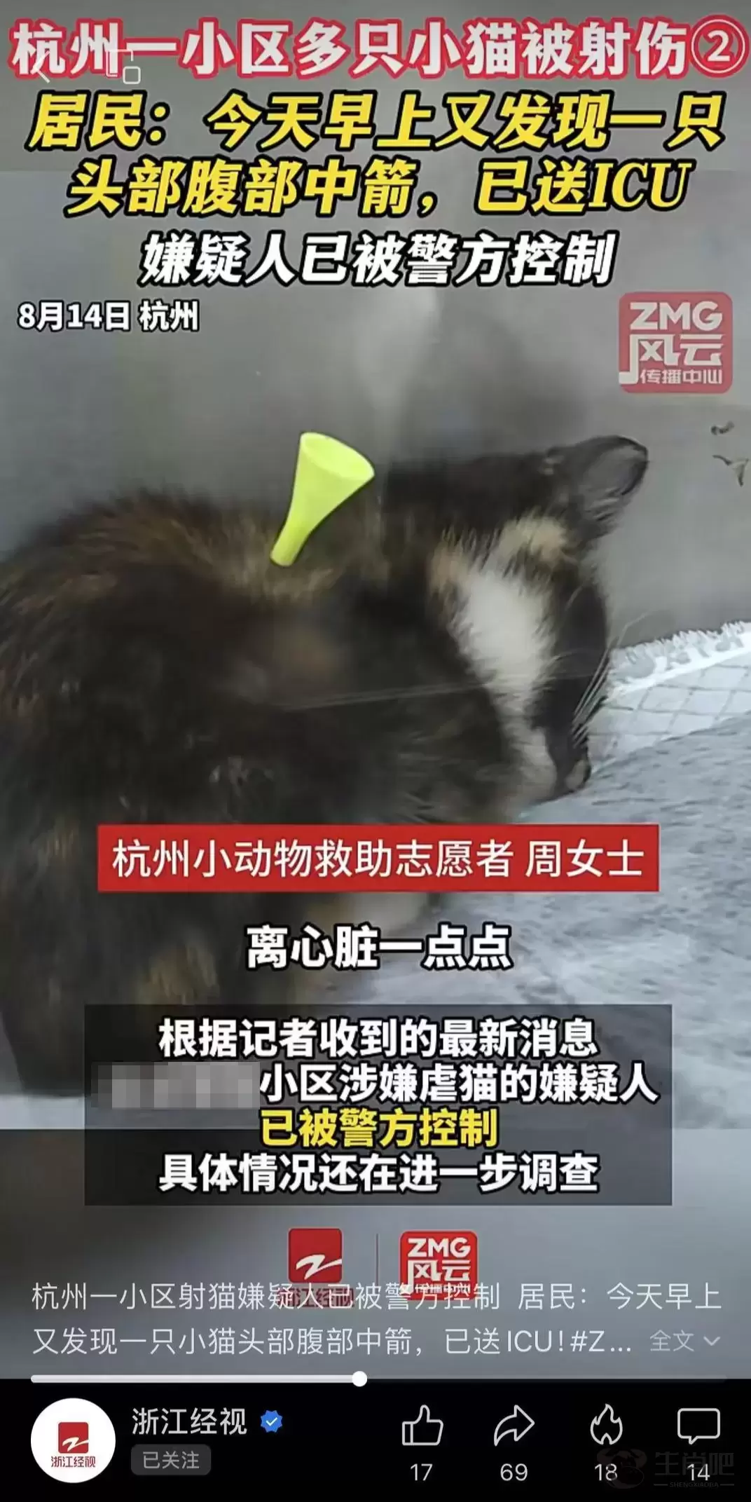 多只猫咪被箭射伤！有猫身中10箭，嫌疑人已被警方控制插图2