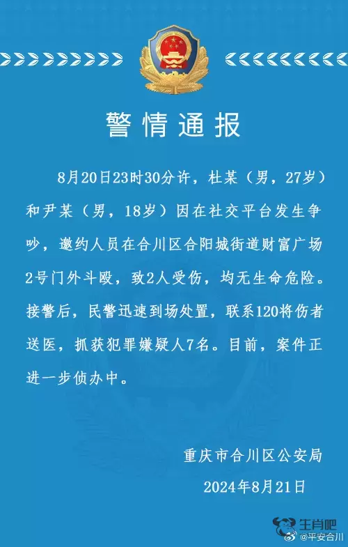 两男子邀约人员斗殴致2人受伤，重庆合川警方通报：抓获犯罪嫌疑人7名插图