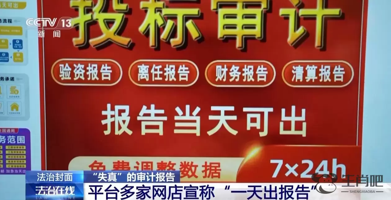 法治在线丨数据随意编、一天出报告……起底“失真”审计报告插图