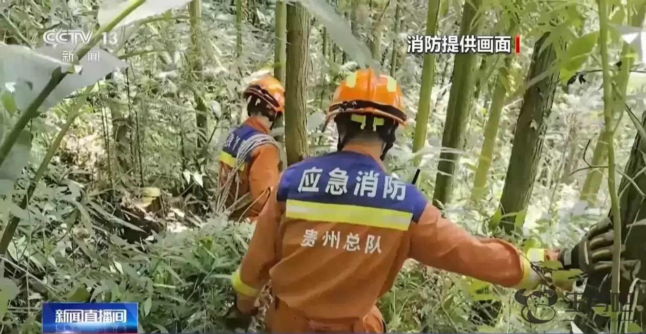 户外登山游玩高峰期 这些安全知识一定先掌握插图13