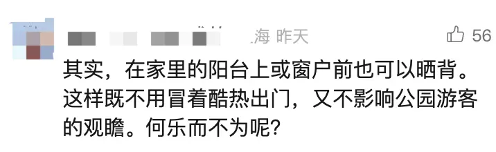 衣着暴露“辣眼睛”？这些人占领公园，有人直接解开内衣……网友吵翻插图11