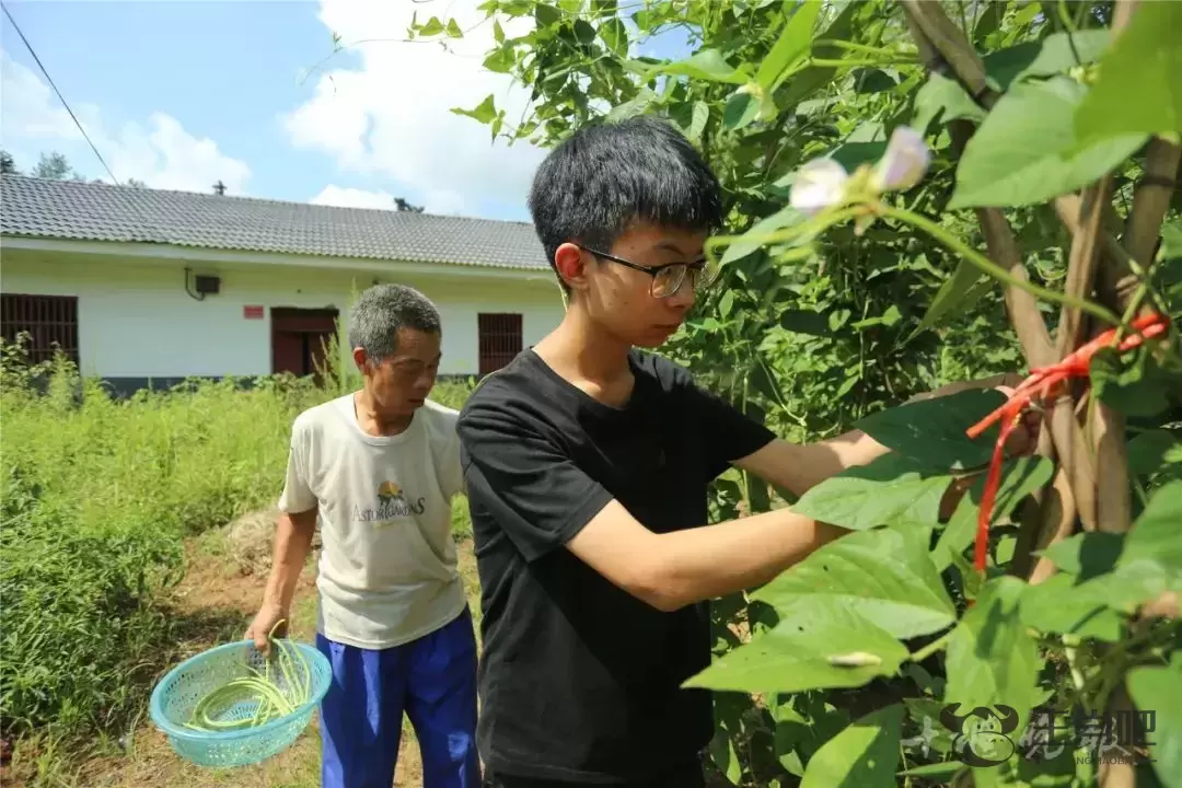 母亲智力缺陷，男孩今年考入双一流大学！他说要撑起这个家插图2