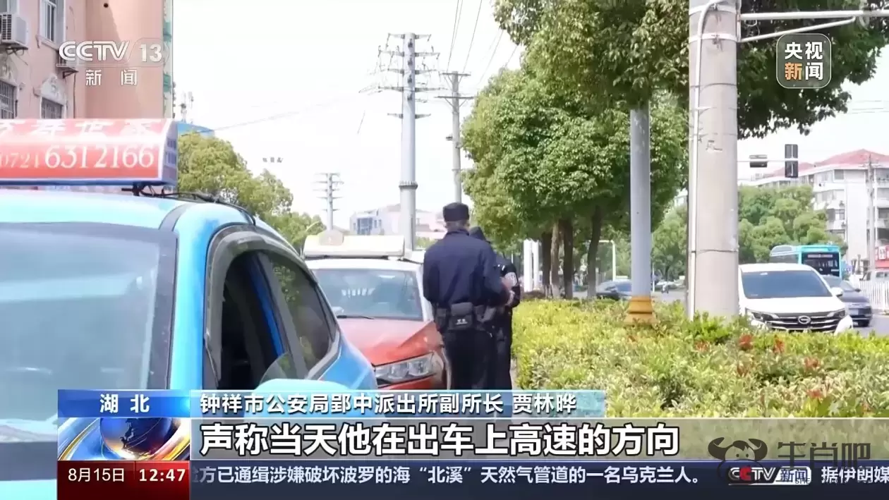 男子“自导自演”跳江假象？妄图逃避诈骗刑罚被抓获插图14