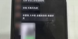 男子出游突然失踪好友报警，发现其遭遇裸聊诈骗正欲独自转账缩略图