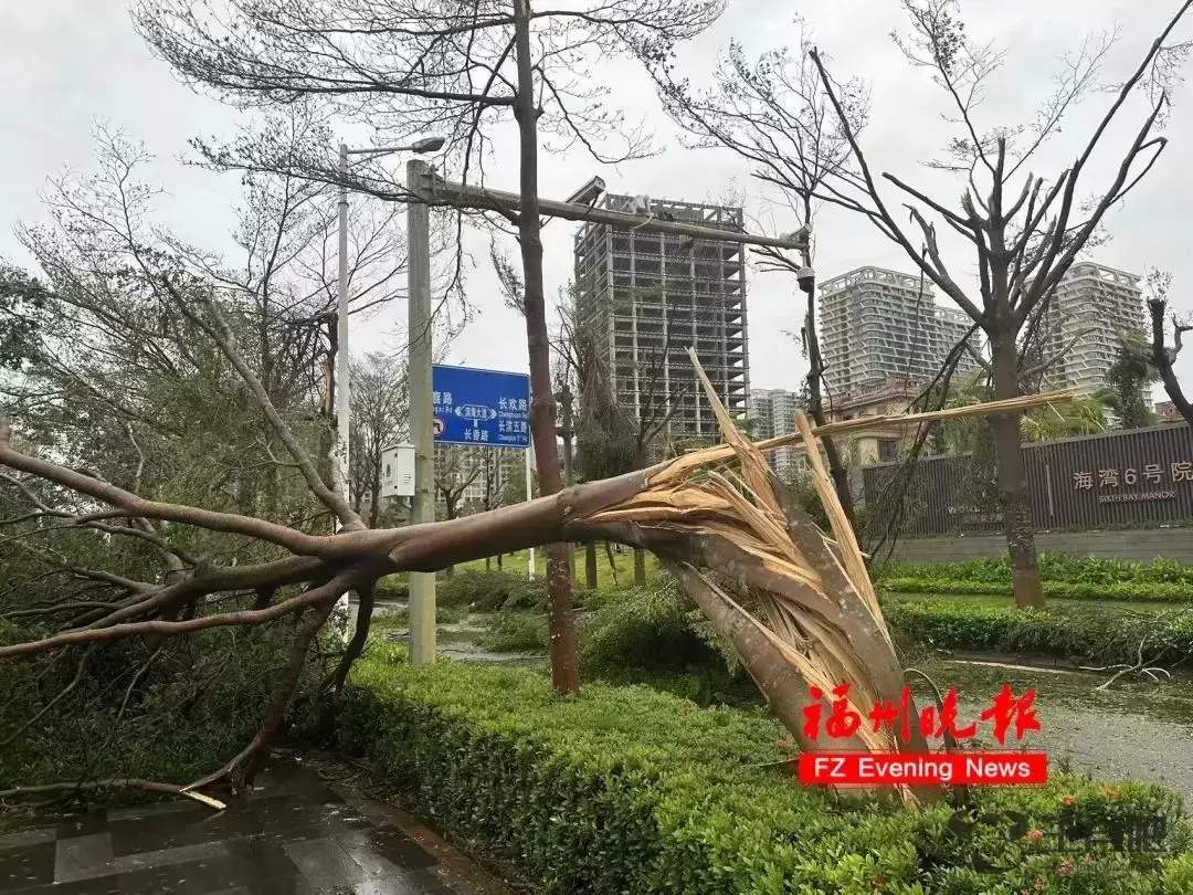 海口飞福州过万元？航空公司：后天起会回落插图