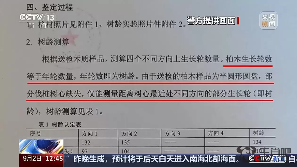 惨遭盗割！古树名木竟成不法分子的“摇钱树”插图2