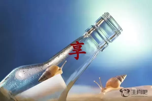 享字打一生肖（享字是什么生肖）插图