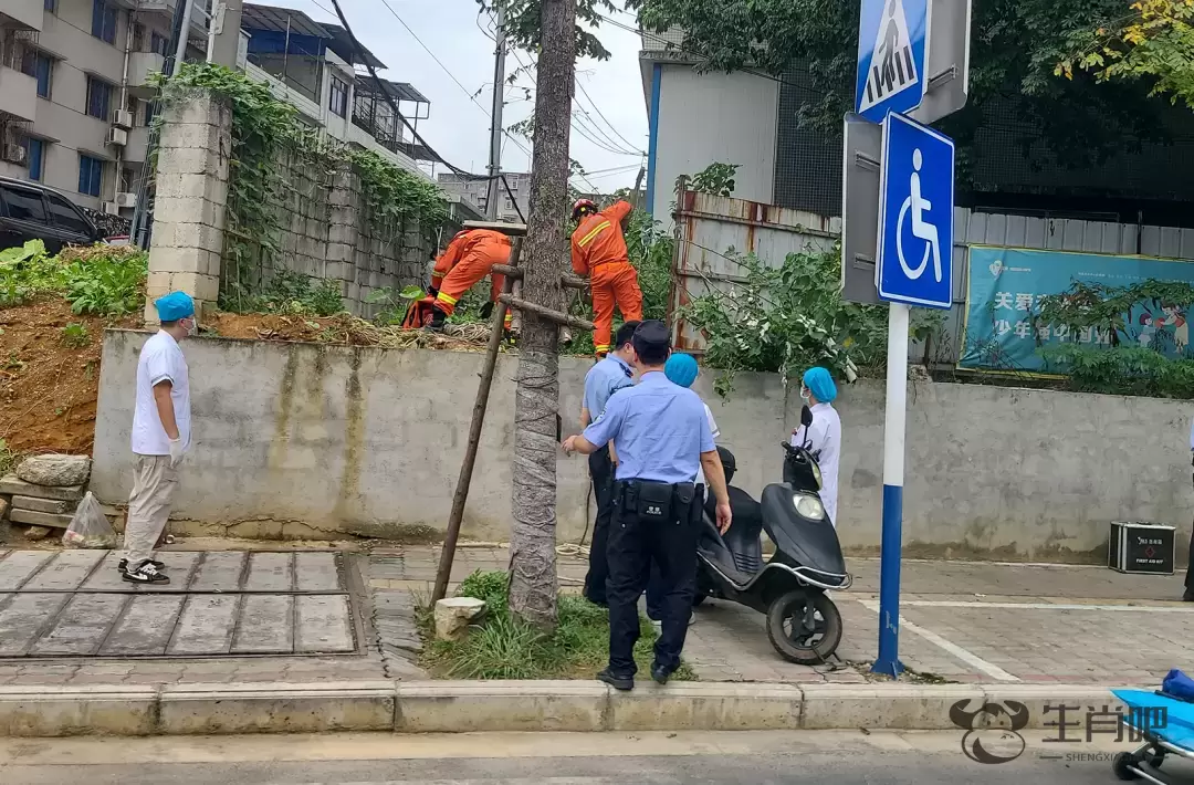 柳州女子坠入5米深井，一根绳索从天而降！插图