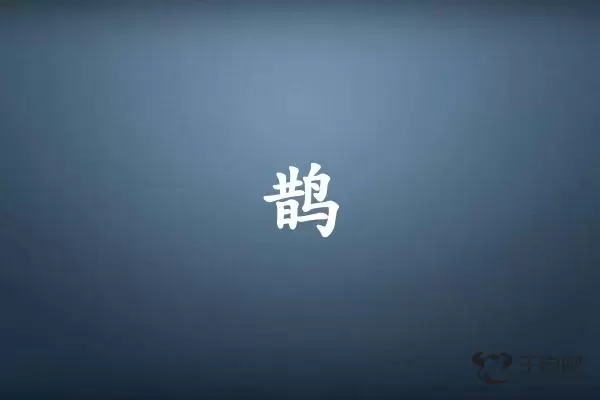 鹊字打一生肖（鹊字是什么生肖）插图