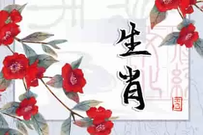 属狗的生肖和什么生肖合得来，属狗的生肖和哪个生肖最配和属兔稳定并且幸福插图