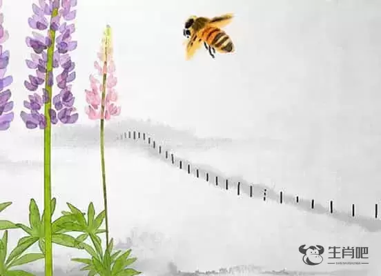 生肖鸡和什么生肖合，生肖鸡和什么生肖最配感情运势插图1