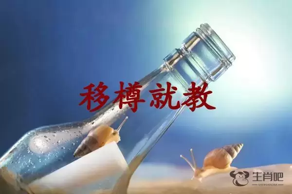 移樽就教是什么生肖插图