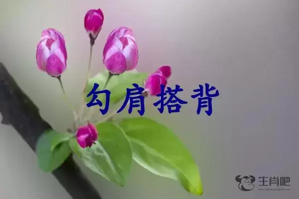 勾肩搭背是什么生肖插图