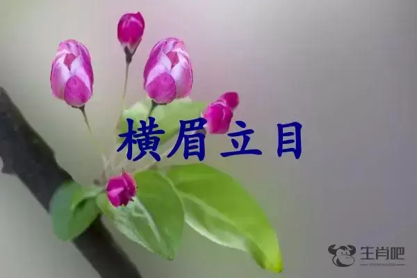 横眉立目是什么生肖插图