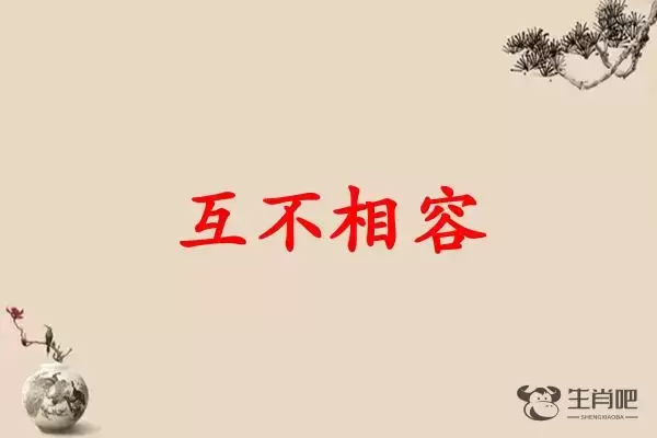 互不相容是什么生肖插图