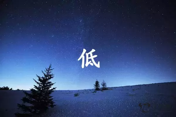 低字打一生肖（低字是什么生肖）插图